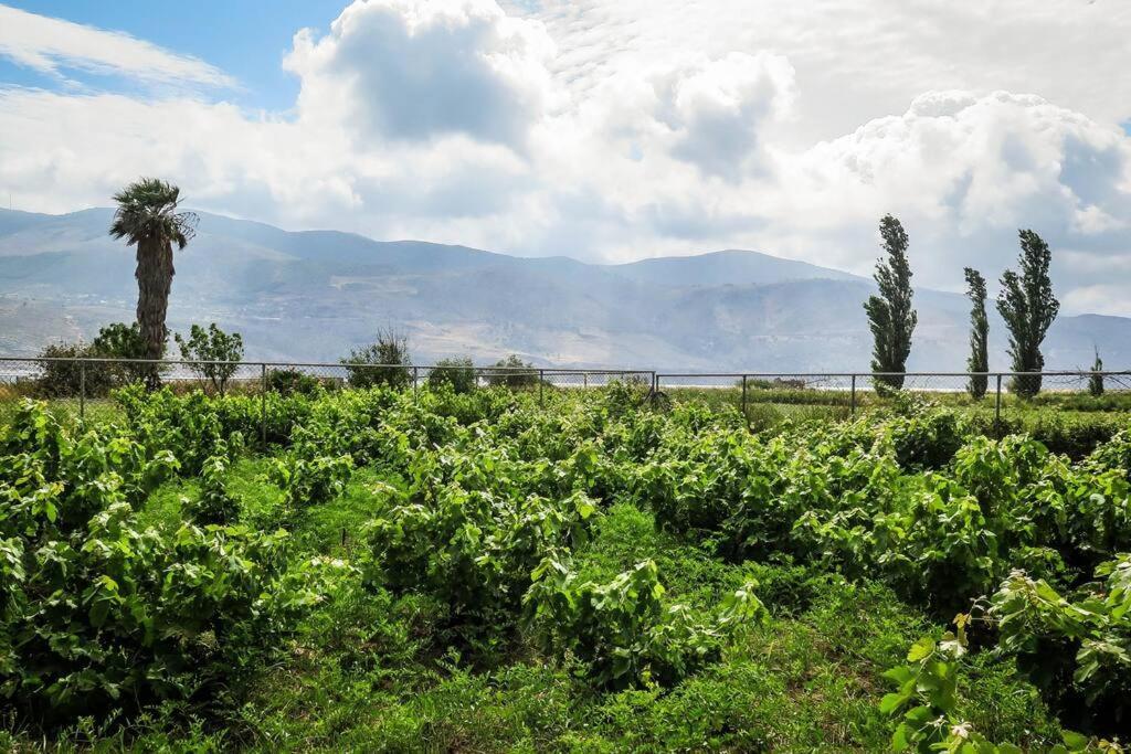Villa Rania: Ευάερη Βίλα Με Θέα Τη Θάλασσα ليكسوري المظهر الخارجي الصورة